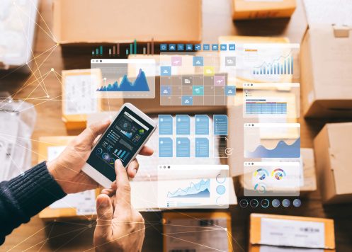 What is Enterprise Ecommerce