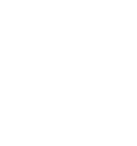shopify icon