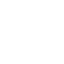 wordpress icon